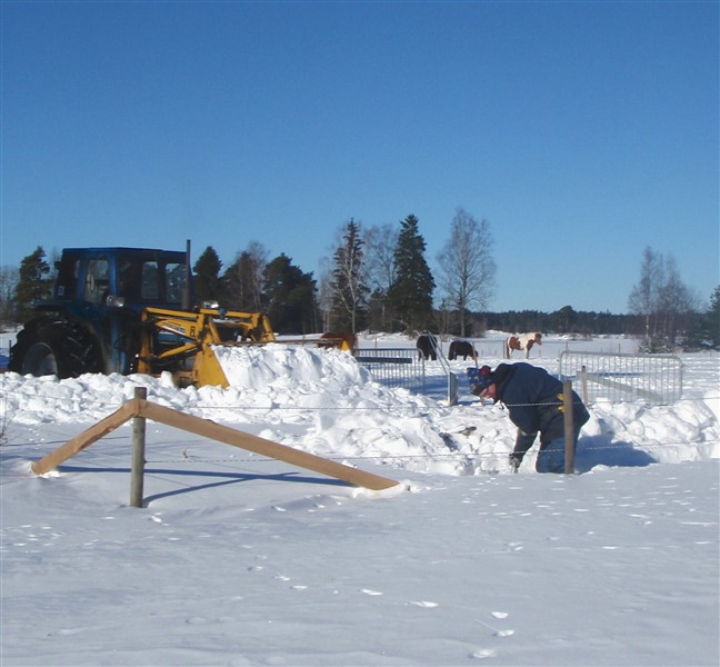 Bortforsling av snö fre.jpg