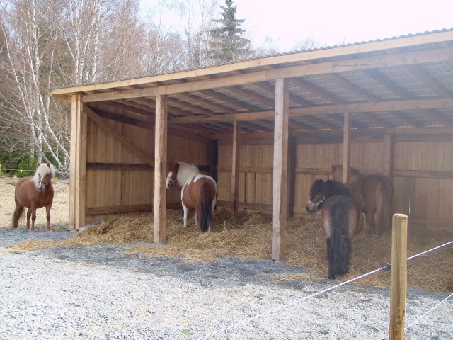 Invigning av ligghallen.jpg