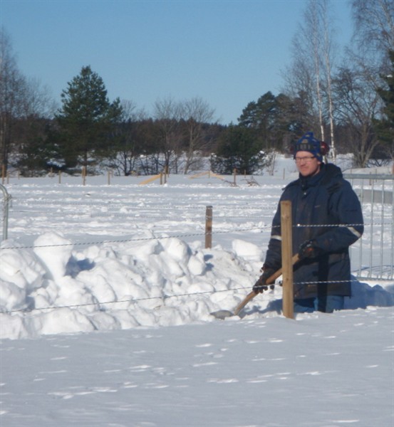 Kolla snödjupet fre.jpg